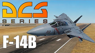 Rakuzard's F-14B Crash-Kurs